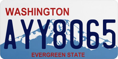 WA license plate AYY8065