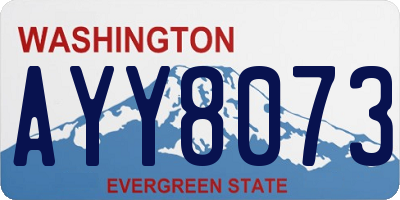 WA license plate AYY8073