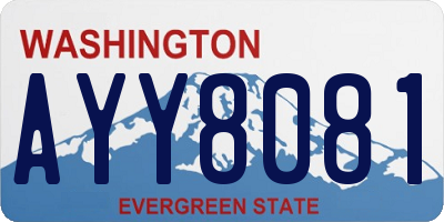 WA license plate AYY8081