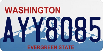 WA license plate AYY8085