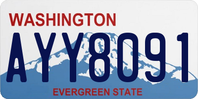 WA license plate AYY8091