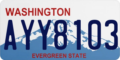 WA license plate AYY8103