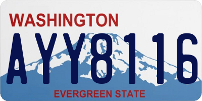 WA license plate AYY8116