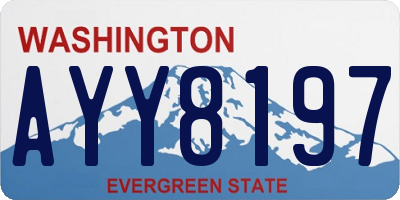 WA license plate AYY8197