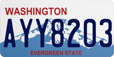 WA license plate AYY8203