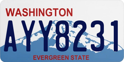 WA license plate AYY8231