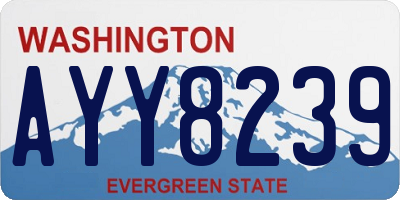 WA license plate AYY8239