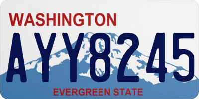 WA license plate AYY8245