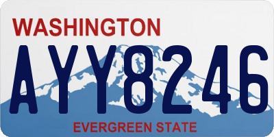 WA license plate AYY8246