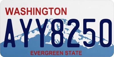 WA license plate AYY8250