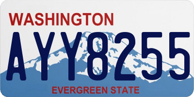 WA license plate AYY8255