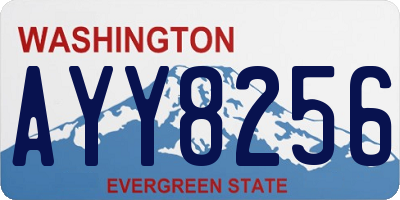 WA license plate AYY8256