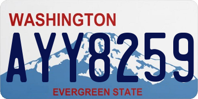 WA license plate AYY8259