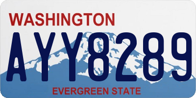 WA license plate AYY8289