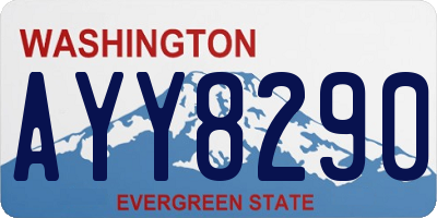 WA license plate AYY8290