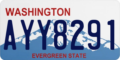 WA license plate AYY8291