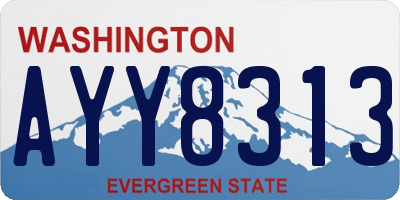 WA license plate AYY8313