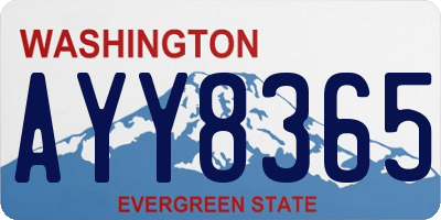 WA license plate AYY8365