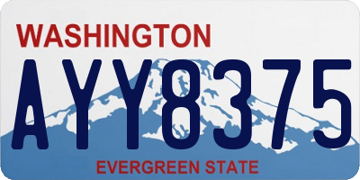 WA license plate AYY8375