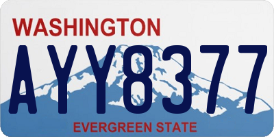 WA license plate AYY8377