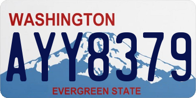 WA license plate AYY8379