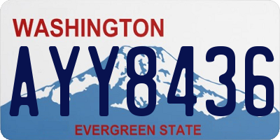 WA license plate AYY8436