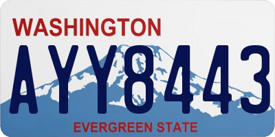 WA license plate AYY8443