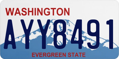 WA license plate AYY8491