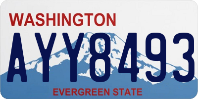 WA license plate AYY8493