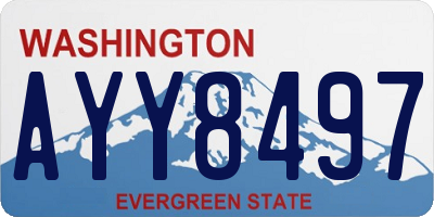 WA license plate AYY8497