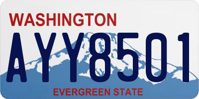 WA license plate AYY8501