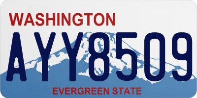 WA license plate AYY8509