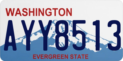 WA license plate AYY8513