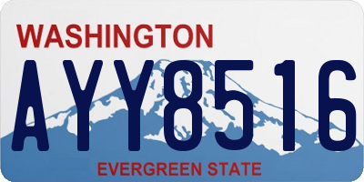 WA license plate AYY8516