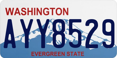 WA license plate AYY8529