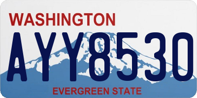 WA license plate AYY8530