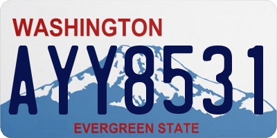 WA license plate AYY8531