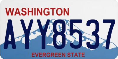 WA license plate AYY8537