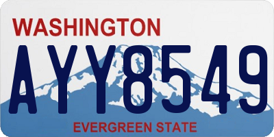 WA license plate AYY8549