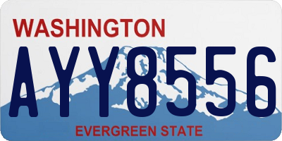 WA license plate AYY8556