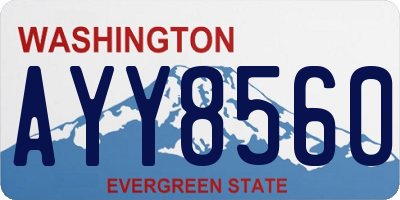 WA license plate AYY8560