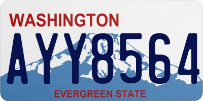 WA license plate AYY8564