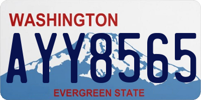 WA license plate AYY8565