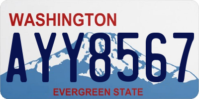 WA license plate AYY8567