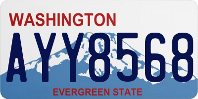 WA license plate AYY8568