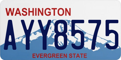 WA license plate AYY8575