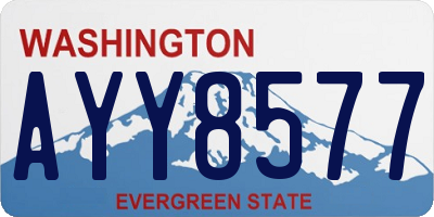 WA license plate AYY8577