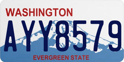 WA license plate AYY8579