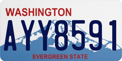 WA license plate AYY8591