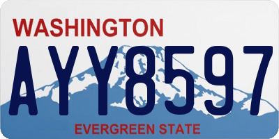 WA license plate AYY8597